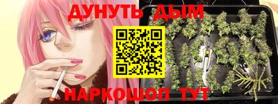 винт Славгород